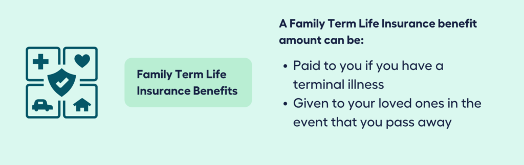 Family Term Life Insurance Benefits