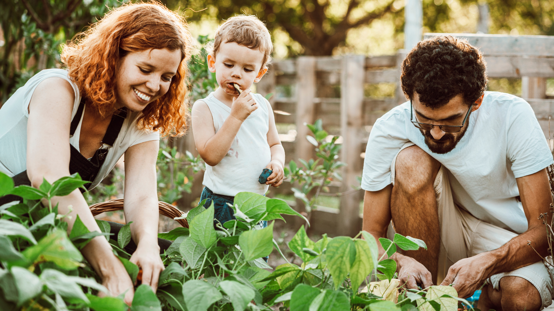 The Guide to Ethical Investing in Australia